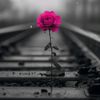 m.awais7355