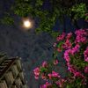 clipspoetry
