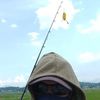 mancing.demancing