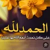 maroco_131