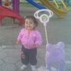 suden.koper1120