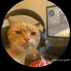 mr.meowoww