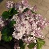 christina_z1