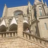 martita0163