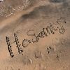 hossam_el3mreki
