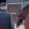 katlynmucker
