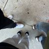 heyman_750