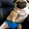 adamficek7