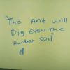massive.knowledge