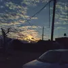 noih_1974
