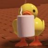 ameliz.duckz