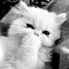 bew_ty_2012