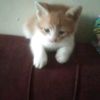 mohamedsolaiman633