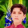 hafeez.zaib0074