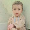 nadir20138