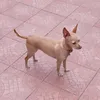 francescalobina