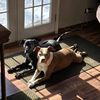 mamabear_467