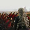Drogon298