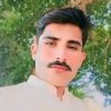 habibe3711