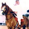 azizabdulaziz090