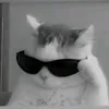 what.a.nicee4