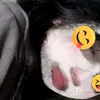 teddy_candy2
