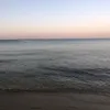 elise.524