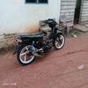 musangn