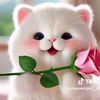 azeem7693