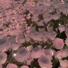 user5134300206171