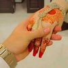 haseebkha387