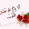 doaa.y3