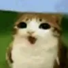 user_name9832