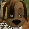 spuppvejzas