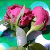 user9855632045400