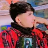 user7755393619134