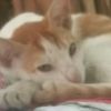 user9200905463304
