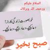 mibrahim1241