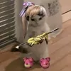 themphambp1