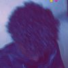 uppe40