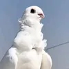 _.3_m5