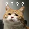 user17419448560198