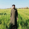 bilawalkhan.abro