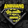 anguianoscs