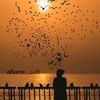 elham.wael1