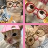 juliett.celeste.r