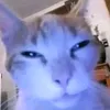 2eepyzzz