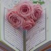 rahma.nasser4134