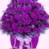 user5087024926325