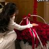 123_princess_